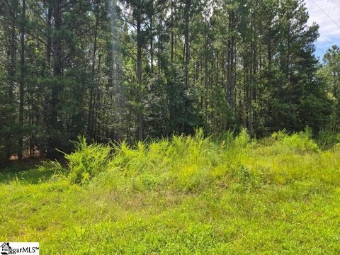 Lots/Land, Waterloo, SC