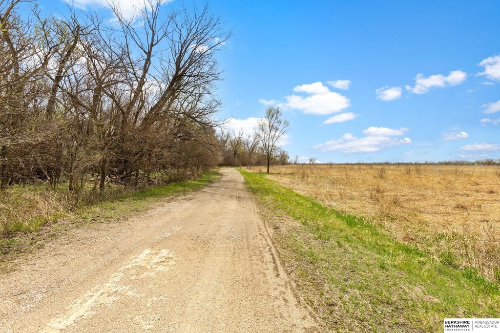 Picture 28