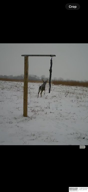 Picture 47