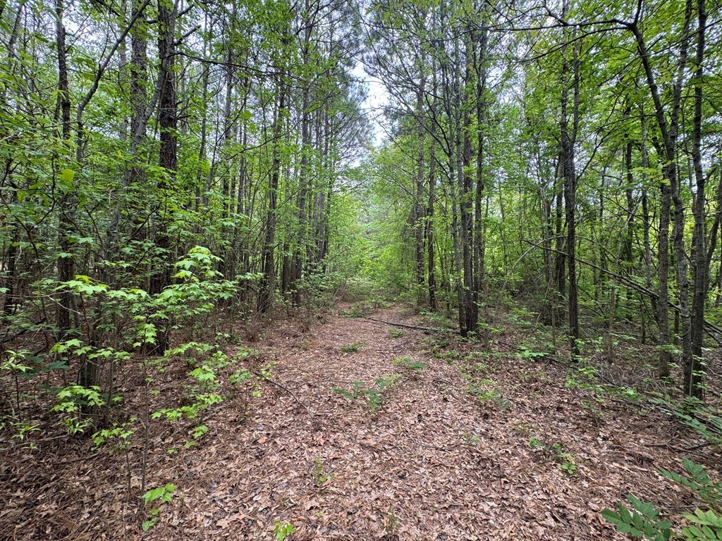 Picture 19