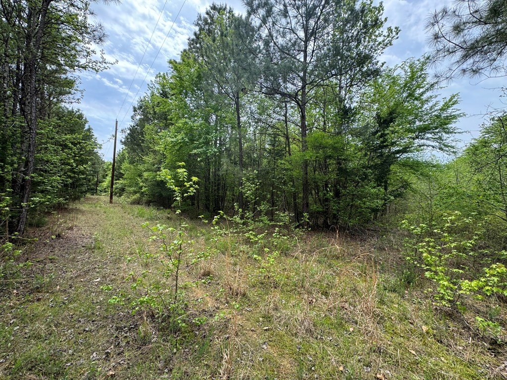 Picture 16