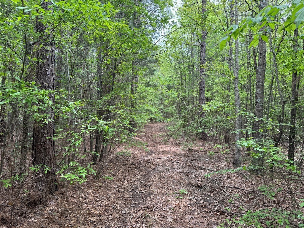 Picture 17