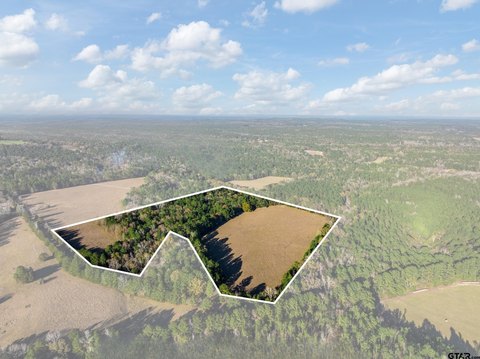 Acreage Tract with Woods and Pasture
