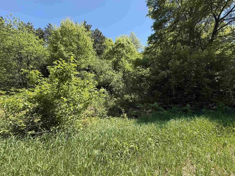 LAND - Amherst Junction, WI