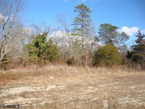 Prime Land on Black Horse Pike