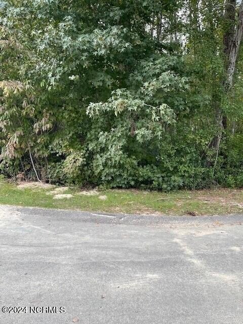 Picture 4
