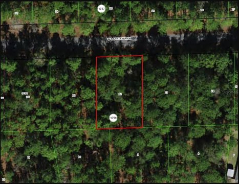 LAND - CITRUS SPRINGS, FL