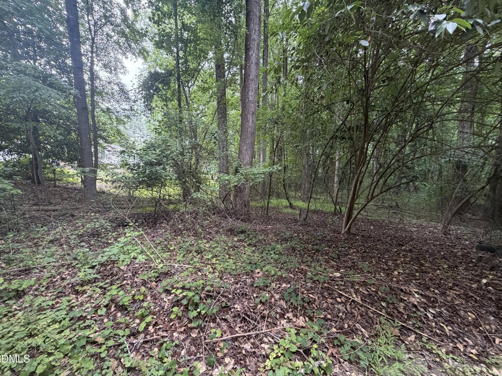 Picture 8