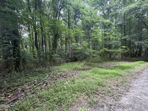 LAND - Holly Springs, NC