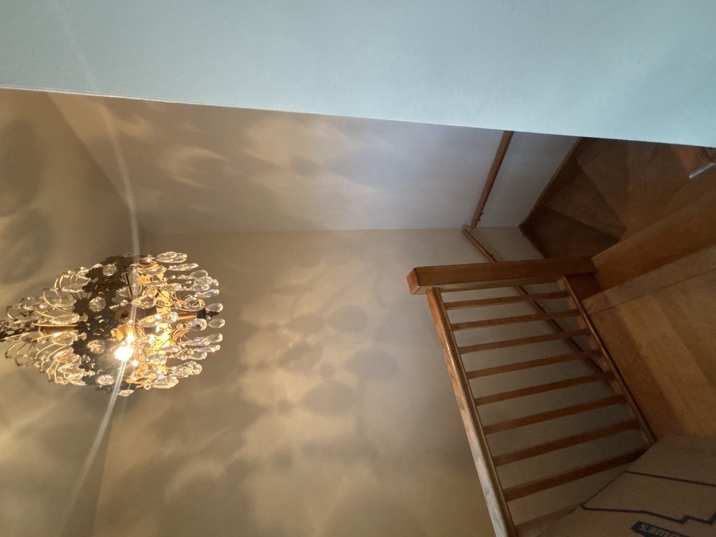 Picture 17