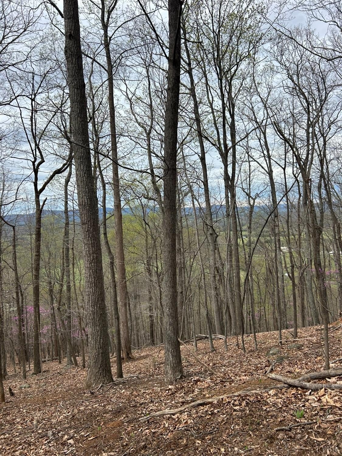 Spacious Land in Amherst County