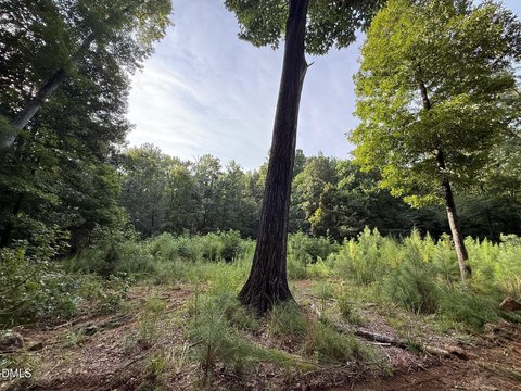 LAND - Hillsborough, NC