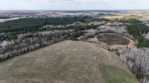 80 Acres Near Hayward