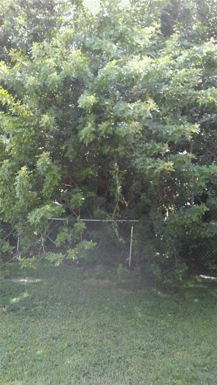 Picture 3
