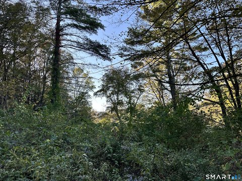 Lots and Land For Sale, Salisbury, CT
