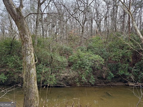 20.1 Acres of Mountainous Land