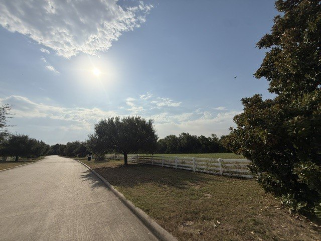 Picture 11