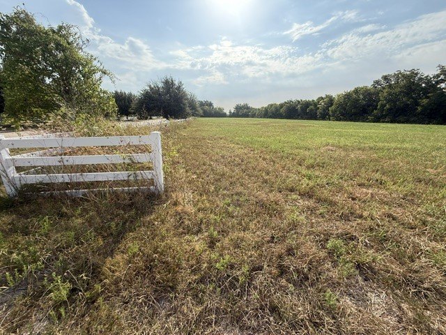 Picture 4