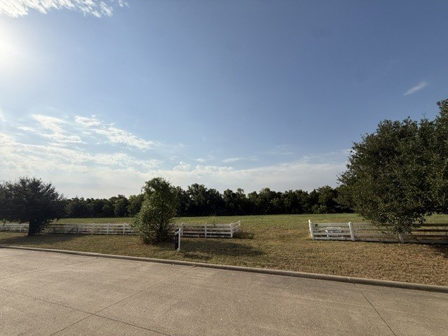 Picture 12