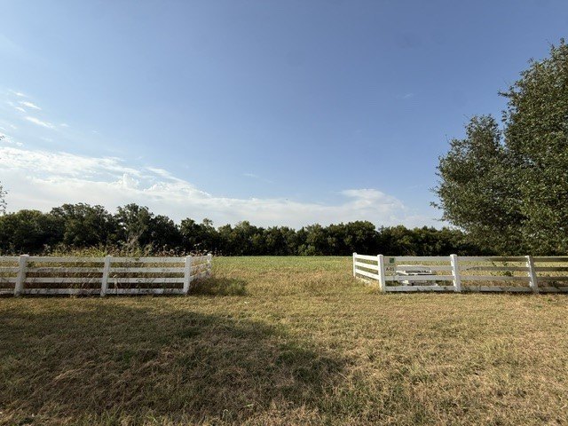 Picture 8