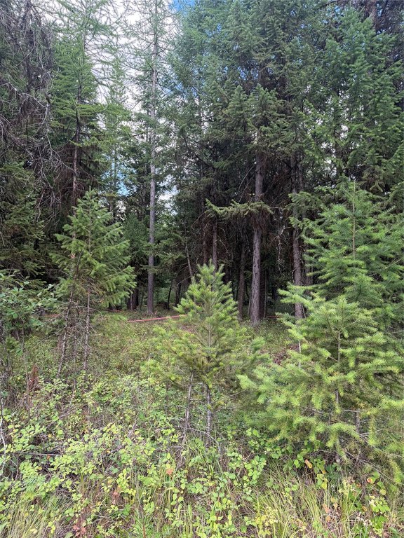 Picture 19