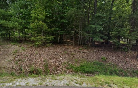 LAND - Fairfield Glade, TN