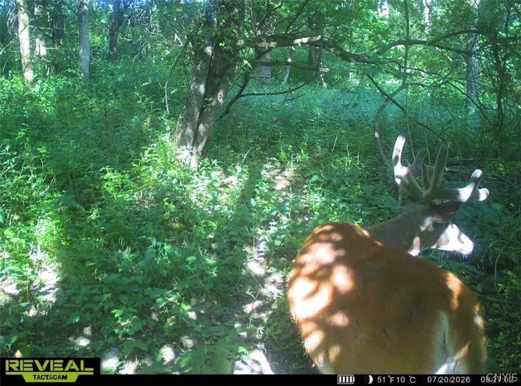 Picture 5