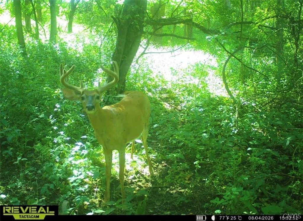 Picture 3