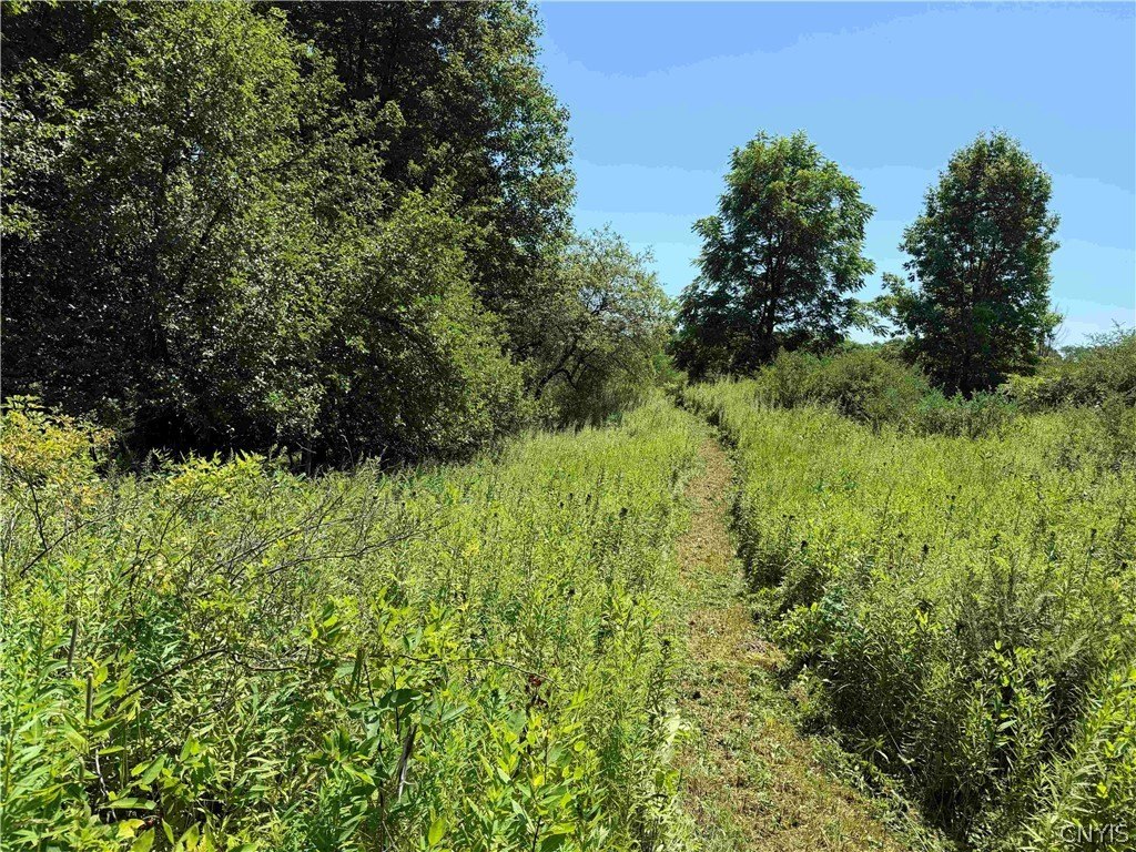 Picture 15