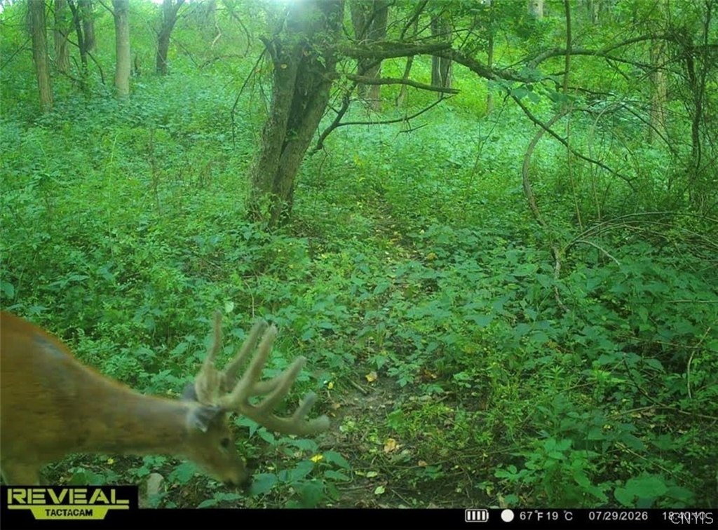 Picture 4