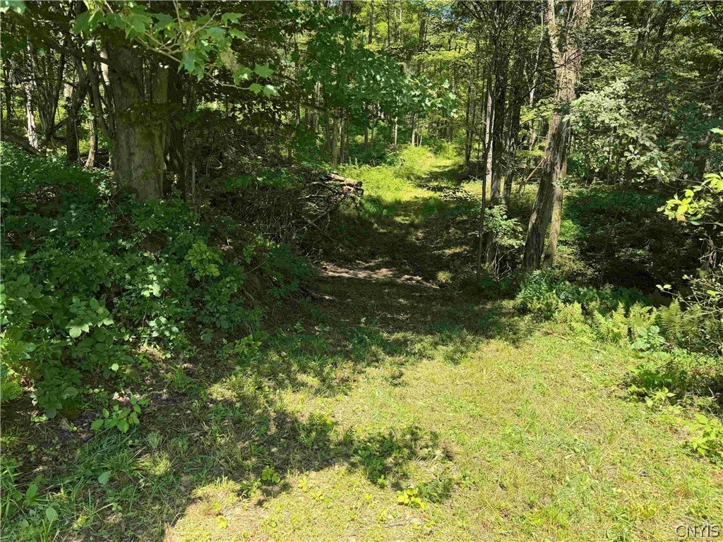 Picture 9