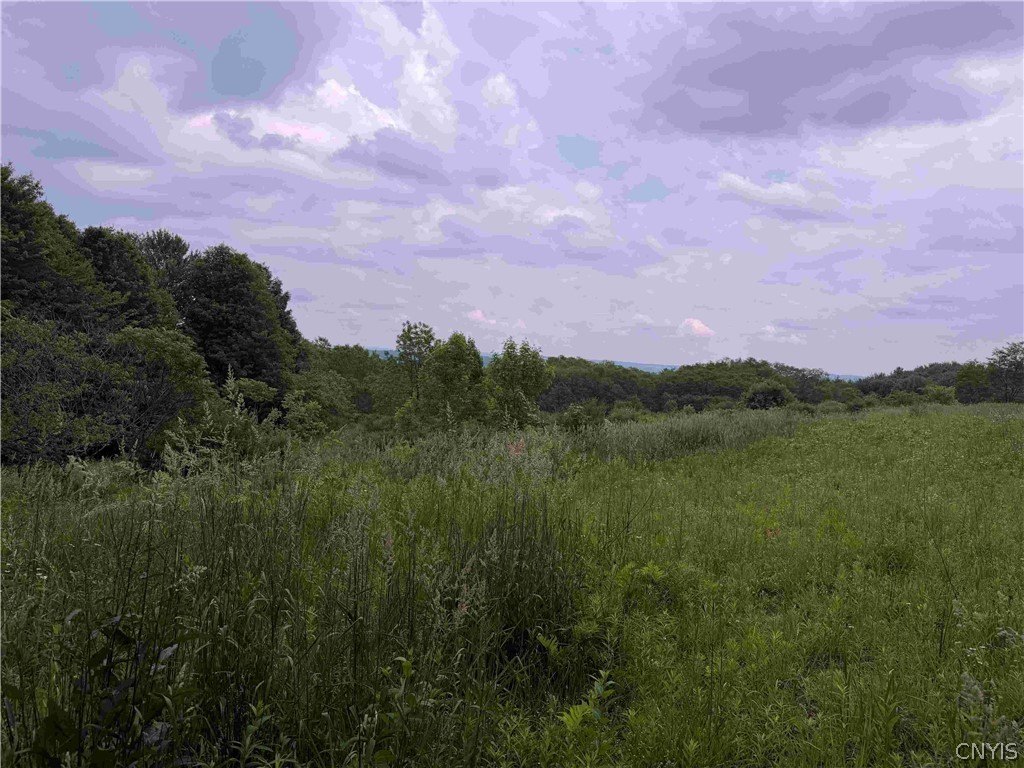 Picture 27