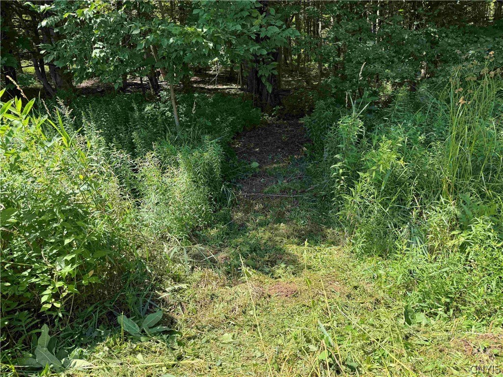 Picture 7