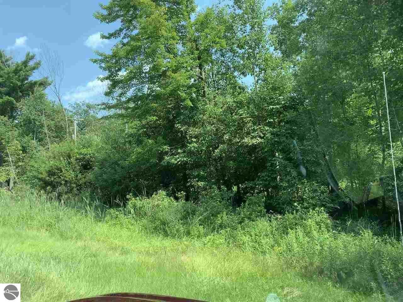 Wooded Land Near Northport Marina