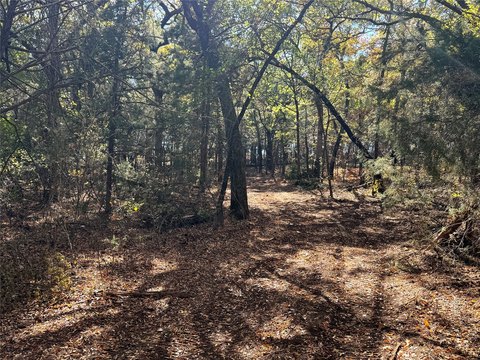 Gainesville Land with Mature Trees