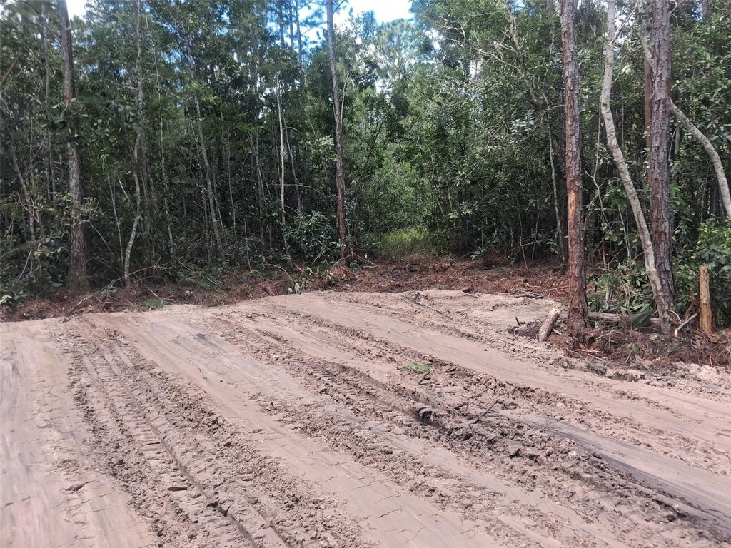 Picture 12