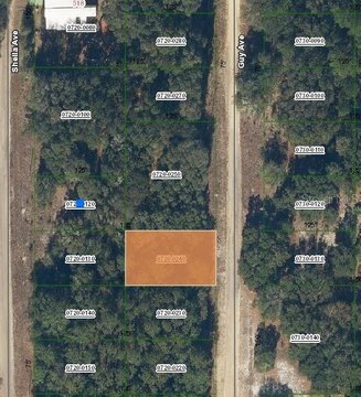 Land Near Lake Grandin