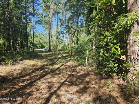 LAND - Burgaw, NC