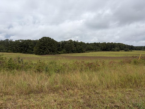 Land, Alton, MO