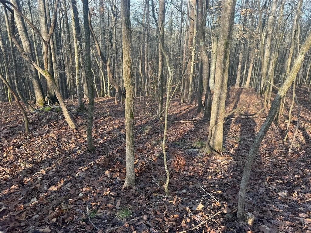Picture 12