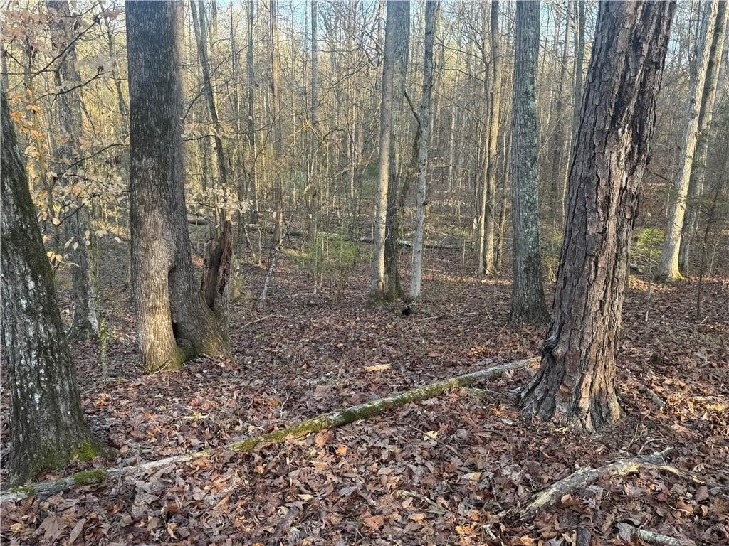 Picture 10