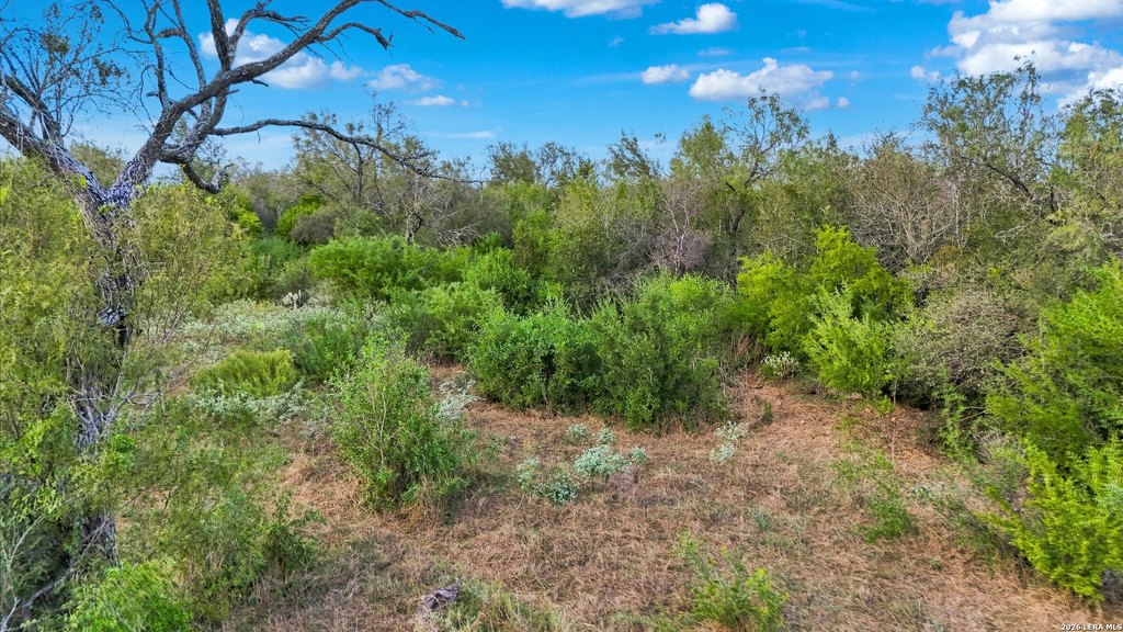 Picture 16