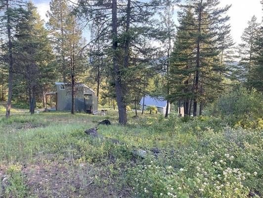 Land with Cabin and Shop