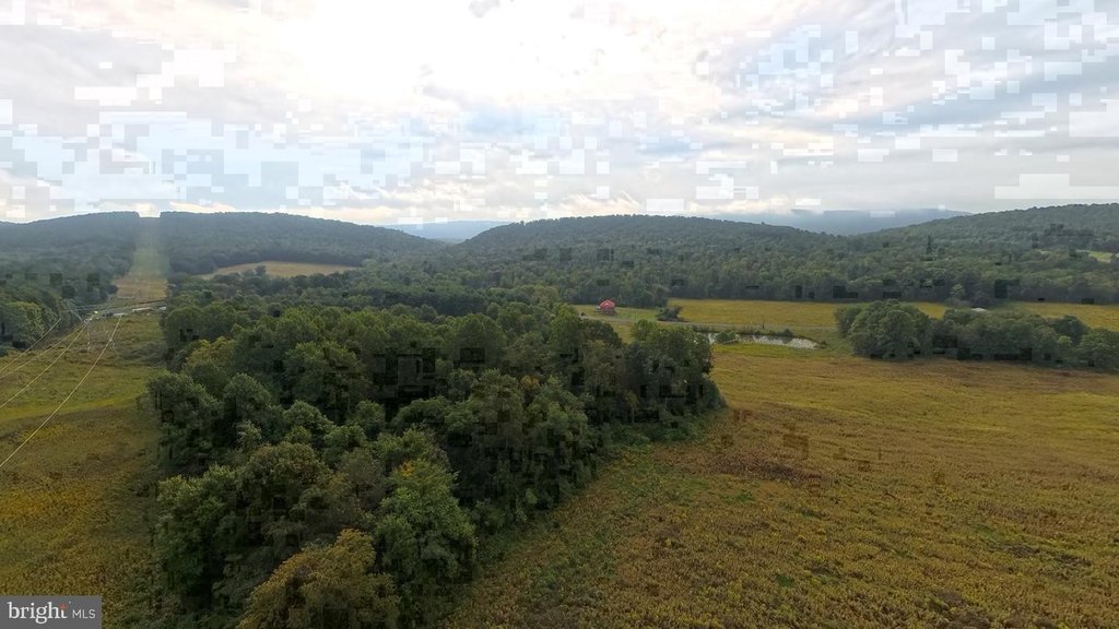 Picture 13