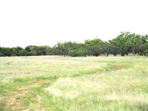Ranch-Style Recreational Land Tract