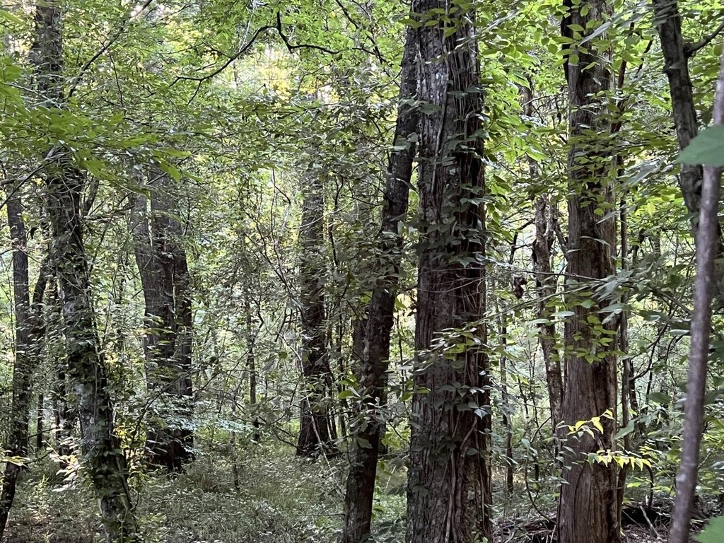 Picture 18