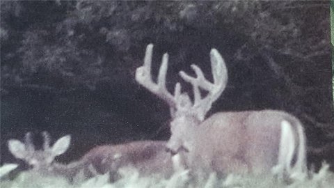 Hunting Land with Farmhouse