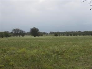 Picture 13