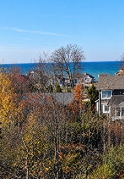 Land, South Haven, MI