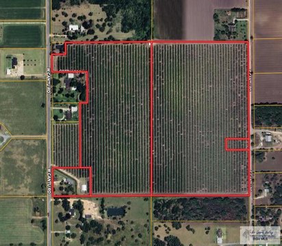 Unrestricted Acres in La Feria, TX